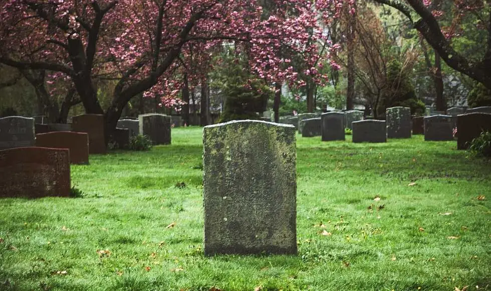 Kuburan Microsoft Graveyard