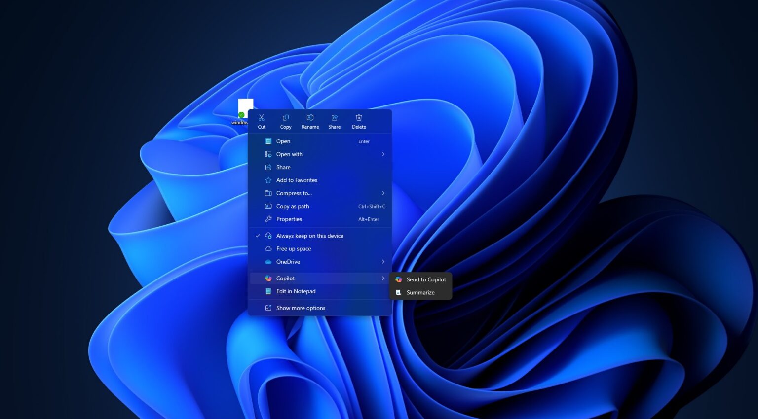 Coplior Windows 11 File Explorer