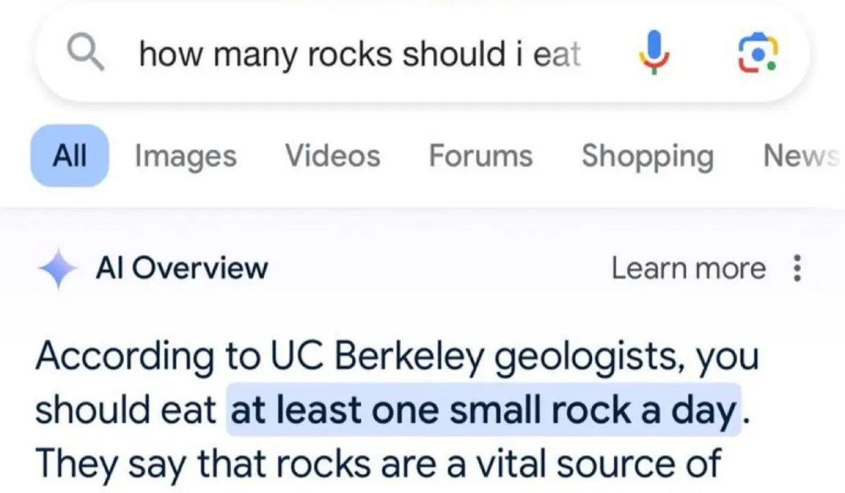 ai-overview-kena-bully-netizen-ini-respon-google-jagat-review