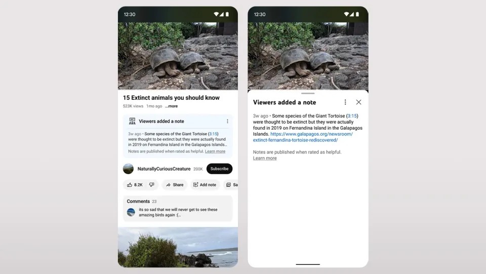 YouTube Uji Fitur Community Notes untuk Lawan Misinformasi 19 Youtube Community Notes