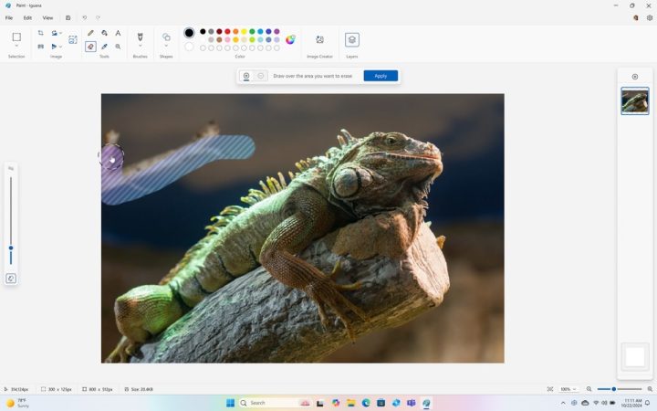 Update Windows 11 24H2 Bawa Segudang Fitur Baru, Apa Saja? 7 8 Windows 11 24H2