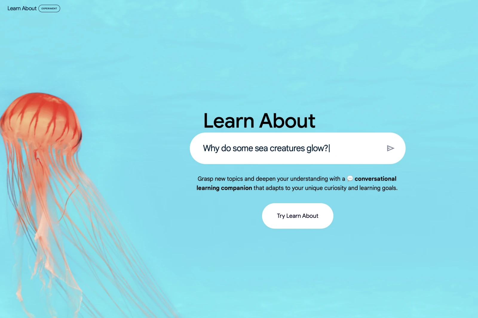 google learn about