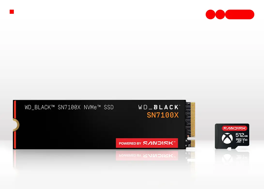Sandisk ROG Ally X Box