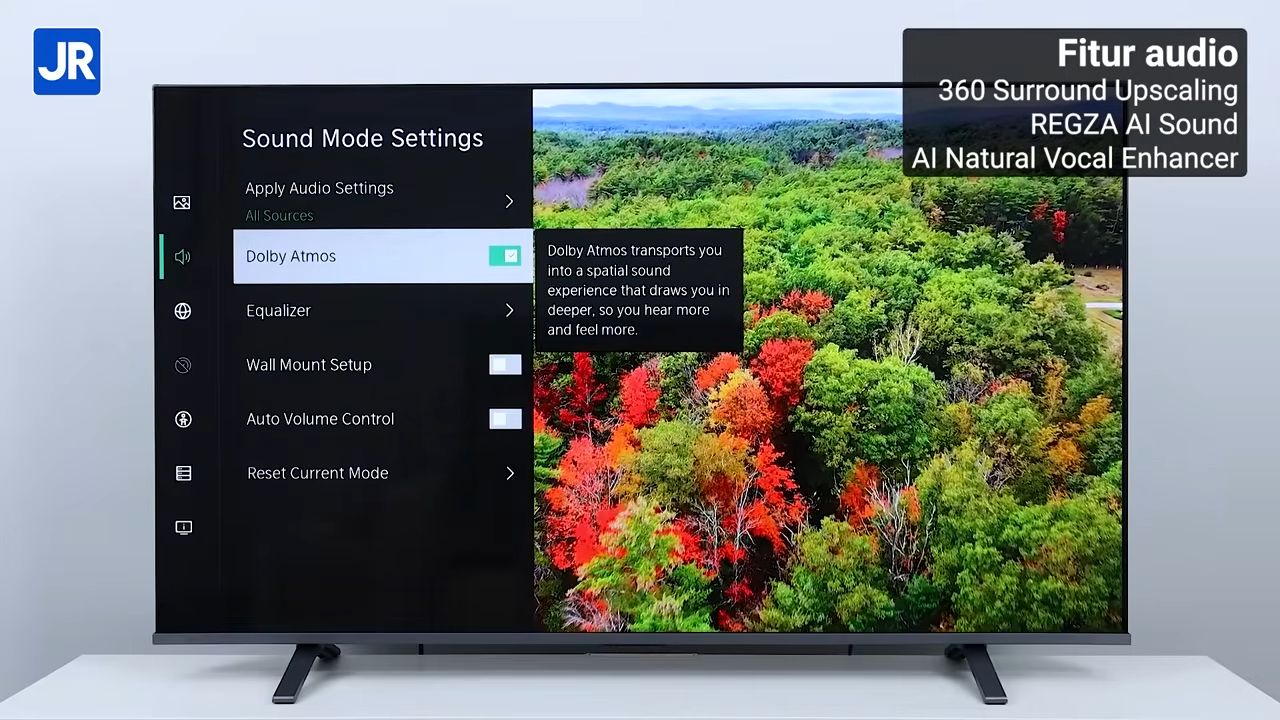 Toshiba 65E450NP PRO 14