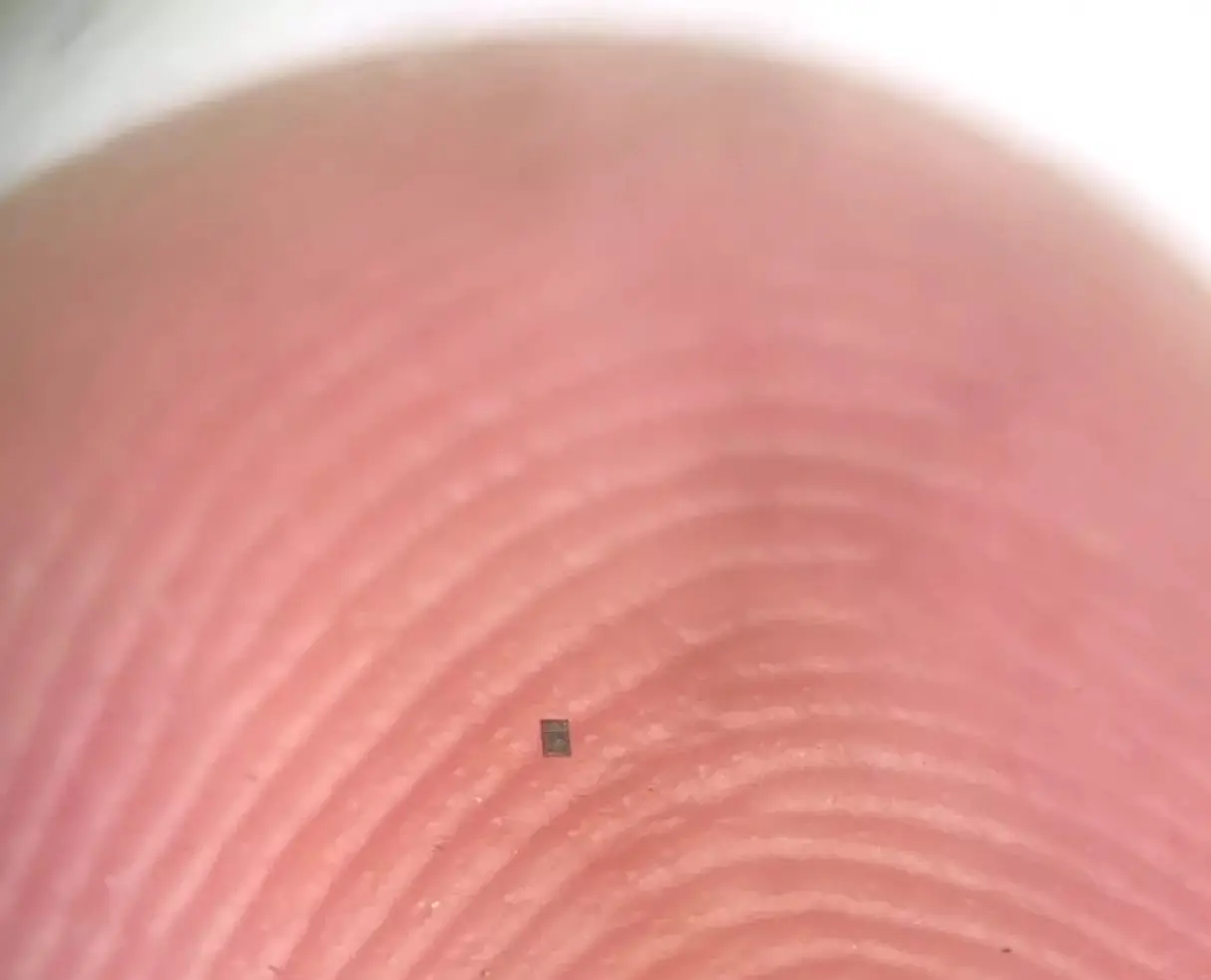 Robot Seukuran Garam Kini Ada di Dunia Nyata 3 robot seukuran garam