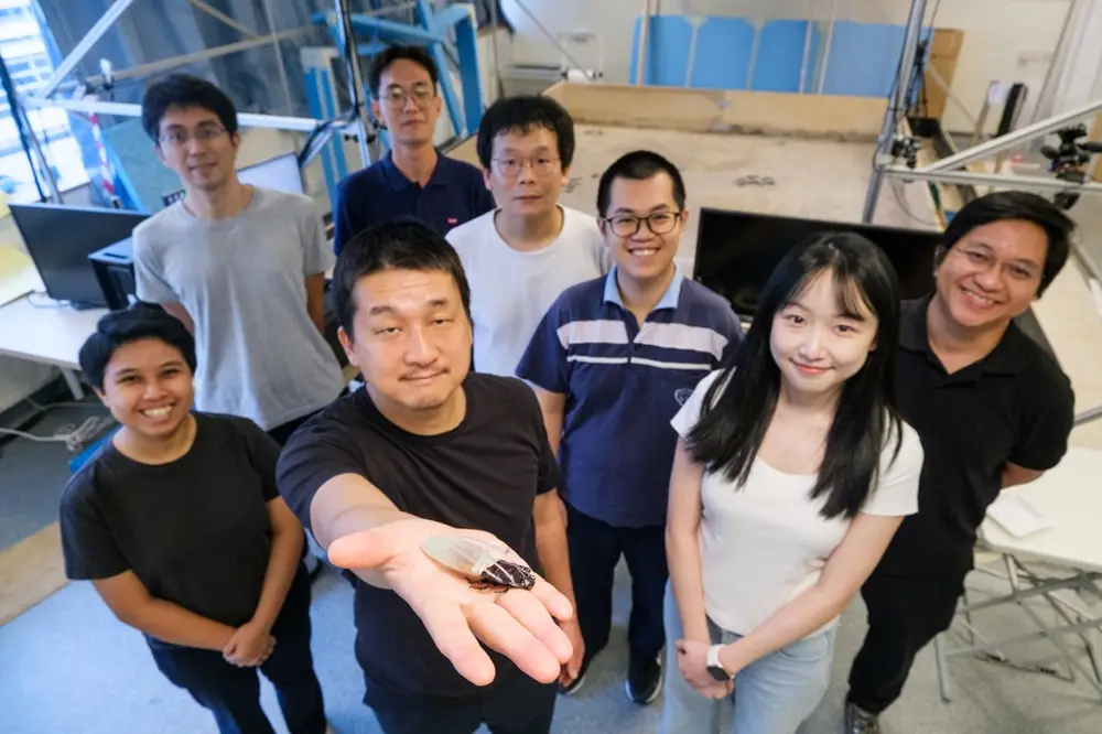 Ilmuwan Berhasil Kembangkan Kecoa Cyborg, Bisa Bertahan 3 Jam di Bawah Air! 2 Kecoak Cyborg